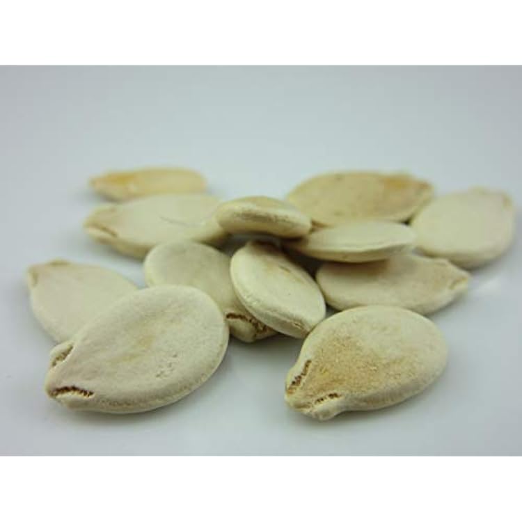 1158-Desert Watermelon Citrullus Y. Colocynthis Seeds by Robsrareandgiantseeds UPC0764425787884 Non-GMO,Organic,Historic Plants,USA Grower,1158 Package of 10 Seeds