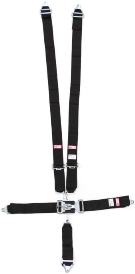 RJS Racing Equipment 1131001 Harness System
