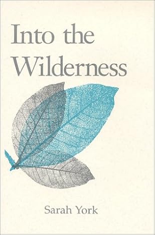 Into the Wilderness