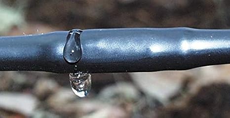 DripWorks 1/4" Soaker Dripline, Drip Irrigation Emitter Tubing, Low-Density Polyethylene (LDPE) (6" Spacing, 500 ft)