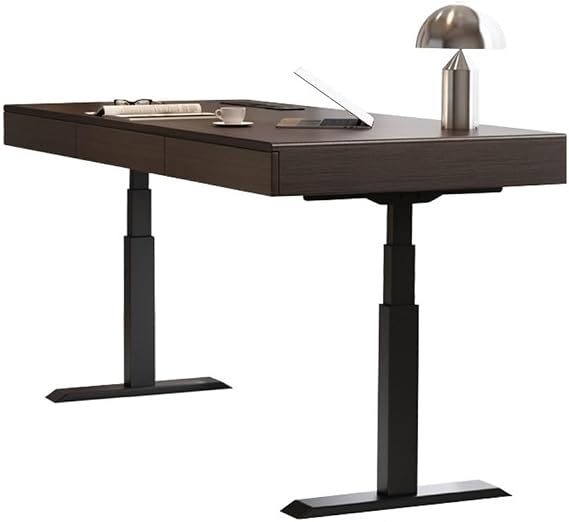 Office Desk Height Adjustable Electric Desk, Sit Stand Up, Modern Liftable Standing PC Workstation for Home Office,Small
