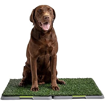 Potty Patch Dog Grass Pad Fake Grass for Dogs to Pee on, Indoor Dog Potty for Dogs Over 15lbs, Grass Pee Pads for Dogs with Tray, Replaces Disposable Puppy Pads Large, Green, Large: 34 x 27