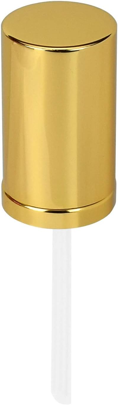 1 Pcs Foundation Pump Replacement for Estee Lauder, Replacement Pump Compatible with Estee Lauder Double Wear Foundation (Gold)