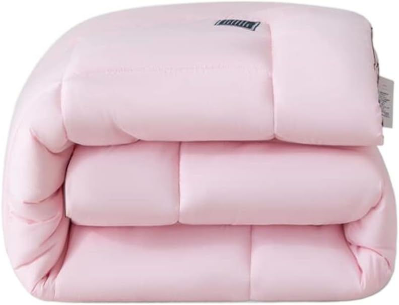 Quilt Winter is Thickened Warm Spring and Autumn Quilt Core Cotton Quilt Dormitory Air Conditioner Quilt