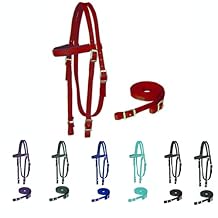 Majestic Ally Horse Headstall with Reins, Nylon Padded Browband, Multiple Colors (Red, Draft)