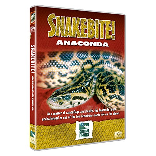 Snake Bite - Anaconda