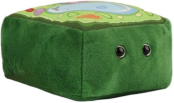 GIANT MICROBES Plant Cell Plush, Plant Cell Model, Anatomy Model, Plant Plush Toy, Cell Biology, Physiology, Biology Classroom Decor, Plant Anatomy