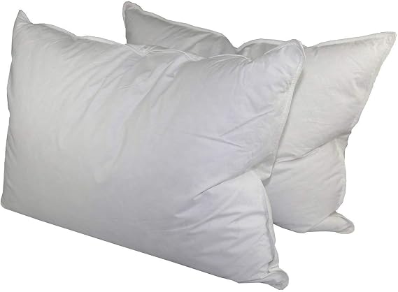 Down Dreams Classic King Pillow Set of 2