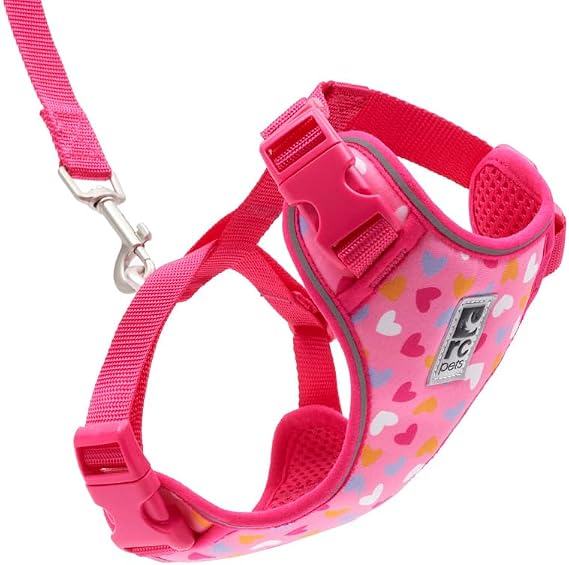 RC Pets Adventure Kitty Harness Includes Adjustable, Airmesh Fabric, 6' Leash and D-Ring Cat Walking Harness | Lil Heart, Small