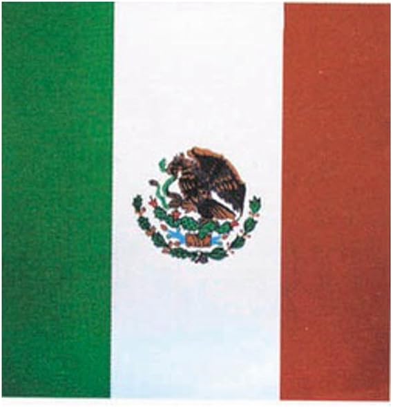 Terence Mexico Flag Bandana