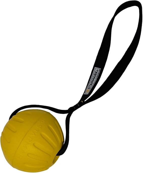 Starmark GripCord DuraFoam Ball on Loop Large Dogs 3.5-in