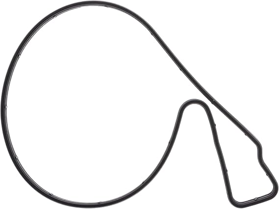 Sea-Doo New OEM Water Pump Housing Gasket, 420950840