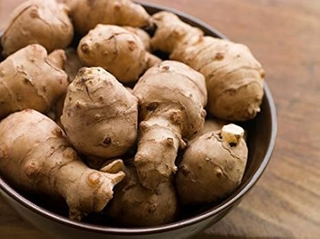 White Sunchoke - Jerusalem Artichoke Small Seed Tubers (Organic) Sunchokes (1 Tuber)