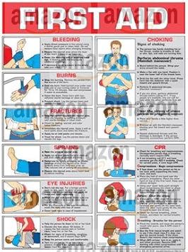 Fitnus Chart Series First Aid 18" X 24" Laminated Poster