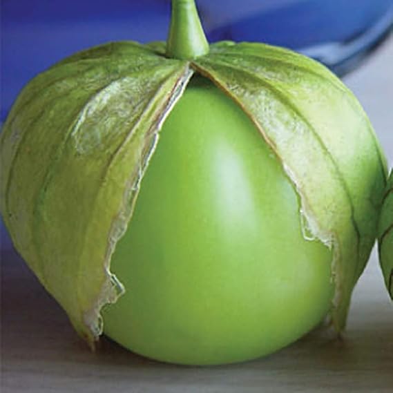 Tomatillo Gigante Tomato Seeds