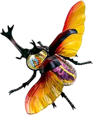 VERIMP Anatomy Model, Educational Model Stag Beetle Organ Anatomy Model 4D Hercules Beetle Anatomical Models Internal Organ Skeleton Group Assembly Model Detachable Simulation Animal