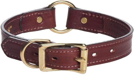 Mendota Pet Leather Hunt Collar - Dog Collar - Made in The USA