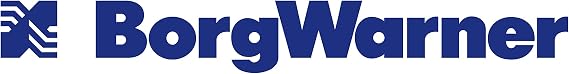 BorgWarner 11587105001 Super Core (EFR B1 6758), 1 Pack
