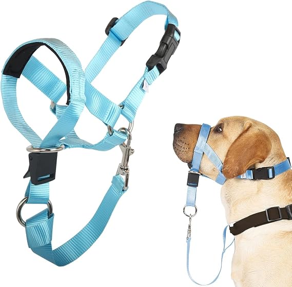 M Blue Head Collar and L Dog Training Nose Leash Bundle for Small Dogs, Effective Dog Training Tools to Prevent Pulling and Choking on Walks