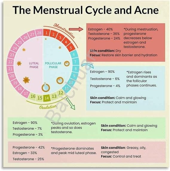 IDGTTLDF Understanding the Menstrual Cycle Poster Hormone Level Chart Educational Womens Health Wall-Art for Clinic Study Room Decor Unframed,08x12inch(20x30cm)