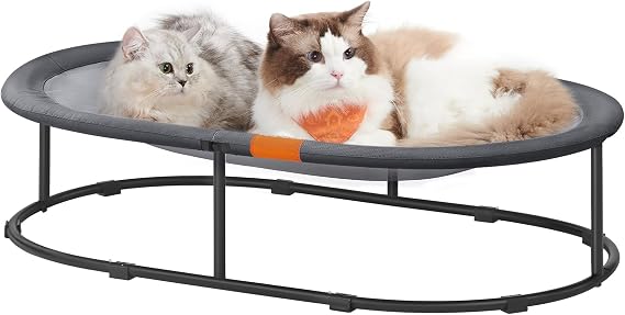 Feandrea Cat Bed, Elevated Dog Bed, Oval, 44.5 x 29.9 x 8.7 Inches | Cat Hammock, for Large Dogs, for Miniature Dogs, Removable Washable Mesh, Indoor, Outdoor, Gray, CANDI Collection UPCB005G01