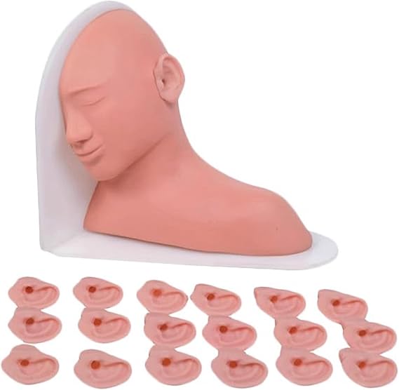Human Ear Anatomy Manikins,Amplification Model of Ear Labyrinth in Human Body,Inspection and Treatment Operation for Doctors and Patients
