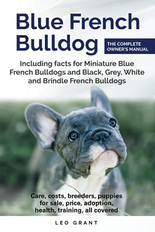 Blue French Bulldog: Care, costs, price, adoption, health, training and how to find breeders and puppies for sale.