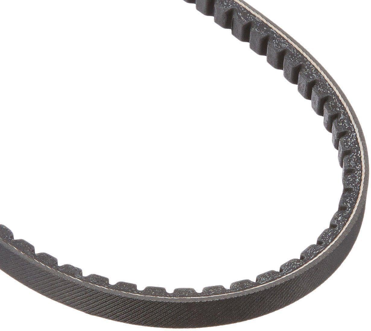 BELION for Belt Fits Alliance SQ Unimac 280352 F280352 6 Month No Hassle