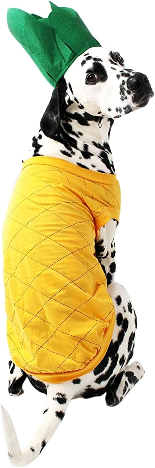 Midlee Pineapple Dog Costume (-Large)