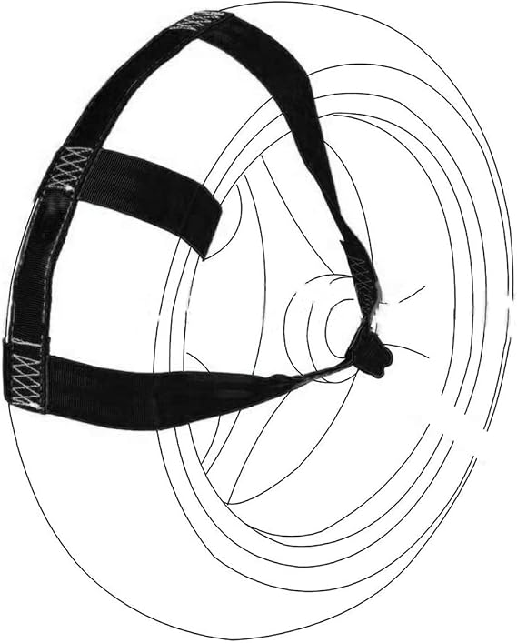 Universal Motorcycle Rear Tire Wheel Tie Down Cargo Strap Transport Strap for Trailer Super Heavy Duty Strong Polyester in Black