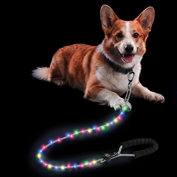 PetBonus 5 FT LED Dog Leash, Rechargeable Light Up Rope Dog Lead