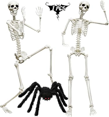 CAMIRUS 5.4ft165cm Halloween Skeleton, Life Size Skeleton with Hairy Spider Pumpkin Bag, Full Body Human Bones with Movable Joints for Halloween Indoor Outdoor Haunted House Decorations