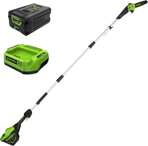 Greenworks 60V 10 in Electric Pole Saw, 2.0 Ah Battery and Charger