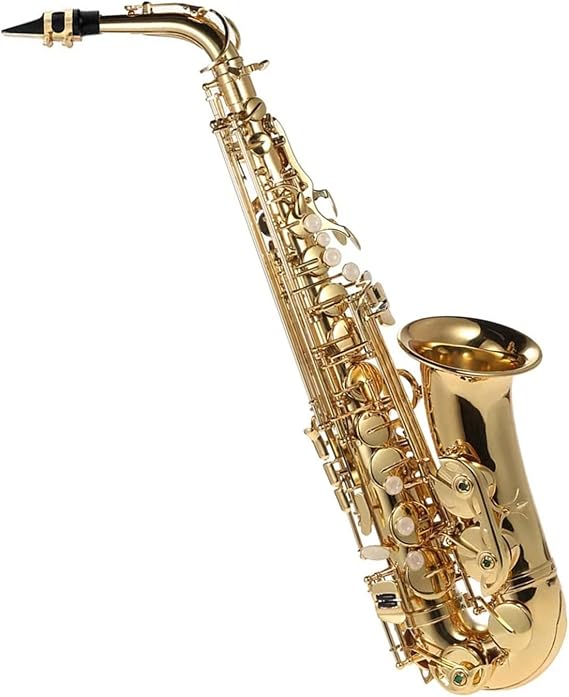 EB Alto Brass Saxophone Lacquered Gold E Flat Sax Woodwind Brass Instruments Beginner Saxophone