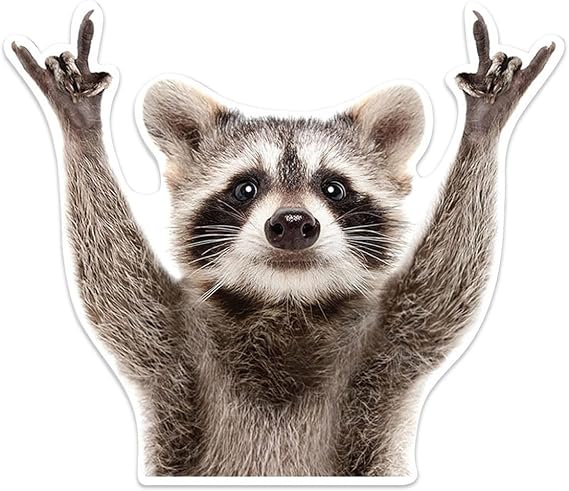 Rocking Raccoon Car Sticker Decal, Vinyl Window Bumper Sticker