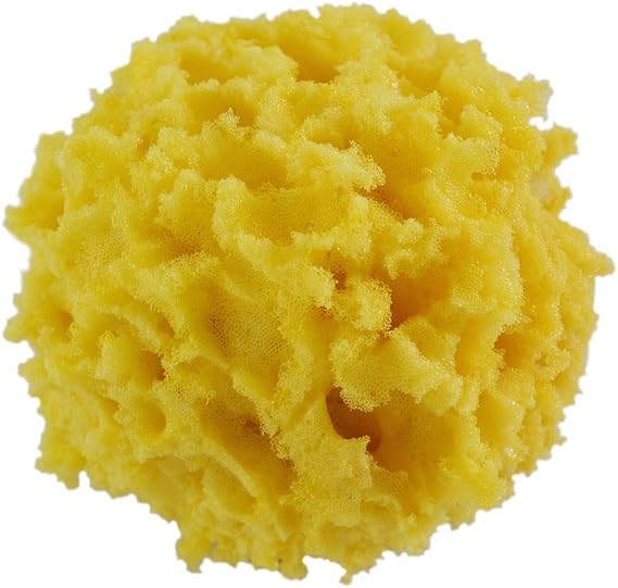 Giani 4" Textured Sponge