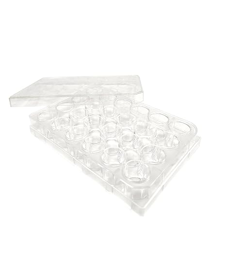SPL Culture Plate 24 Wells, Treated, Flat Bottom, Sterile, 50/Case