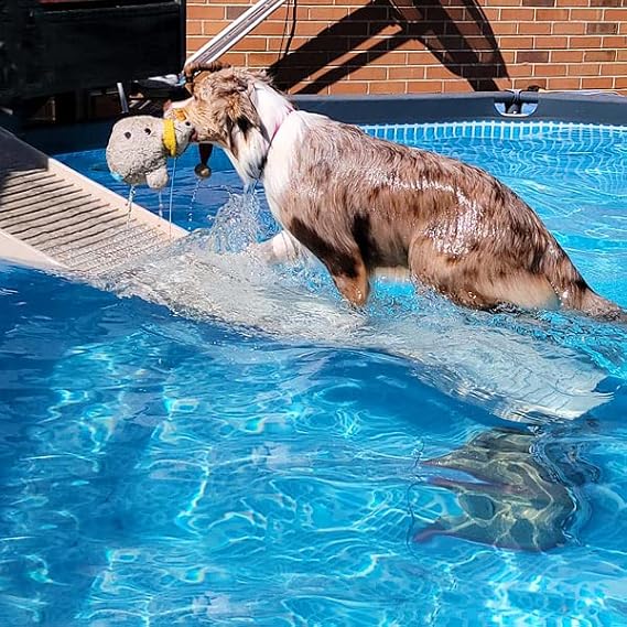 PetStep Dog Ramp for Pools - (Standard Legs, Khaki/Beige)- Small and Large Dog Pool Ramp for Above-Ground and In-Ground Pools