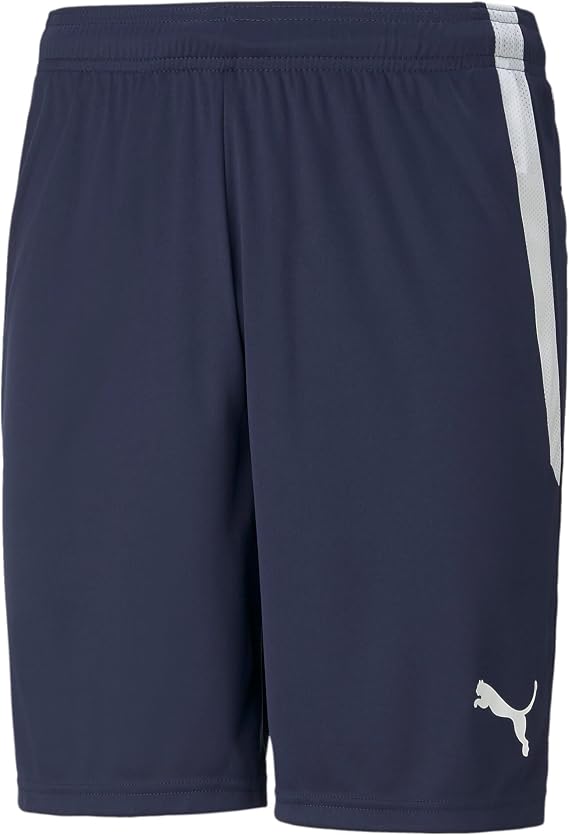 Puma Mens Teamgoal Knit Shorts
