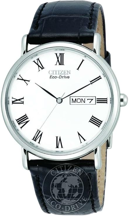 Citizen Gents Strap Collection