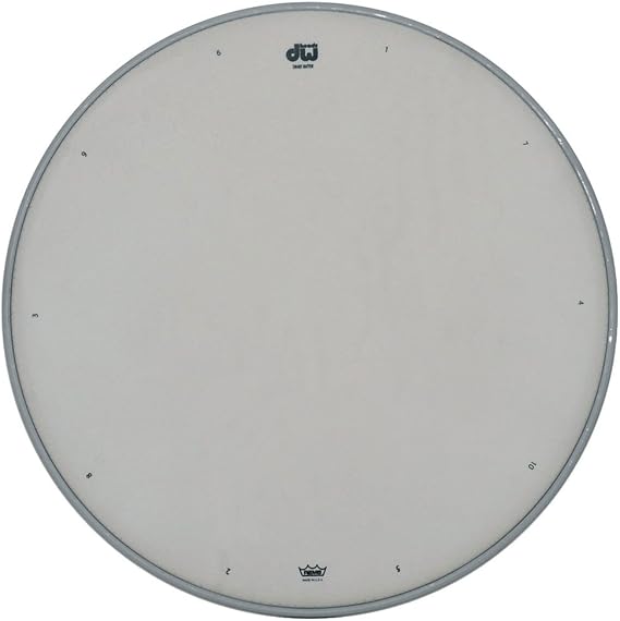 DW Coated Snare Drum Batter 13 in.