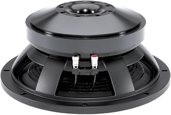 B&C Speakers 12TBX100-4 LF Drivers 12-Inch Woofer 4 Ohms Impedance 1000 Watts Rms 2000 Watts Max Continuous Power Handling Capacity Ferrite Pro Audio Component Speaker Driver for Motorcycle Car