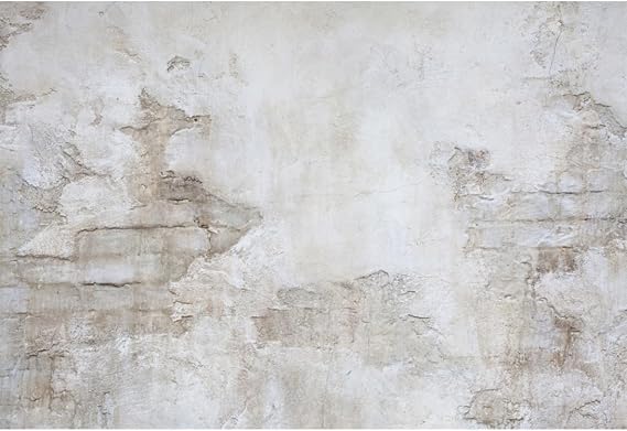 7x5ft Ancient White Wall Backdrop for Photography Vintage Rustic White Brick Concrete Wall Background for Wedding Baby Shower Birthday Party Supplies Decor Photo Shoot Props Vinyl