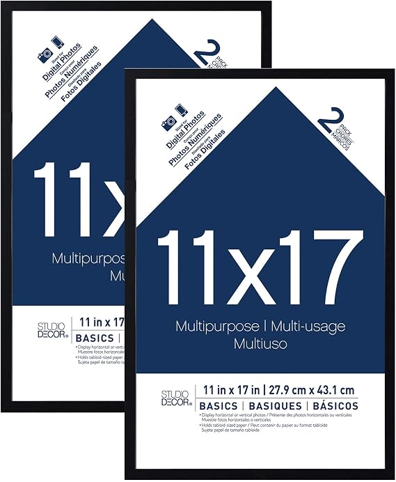 Studio Decor 2-Pack Basics Multipurpose Frames