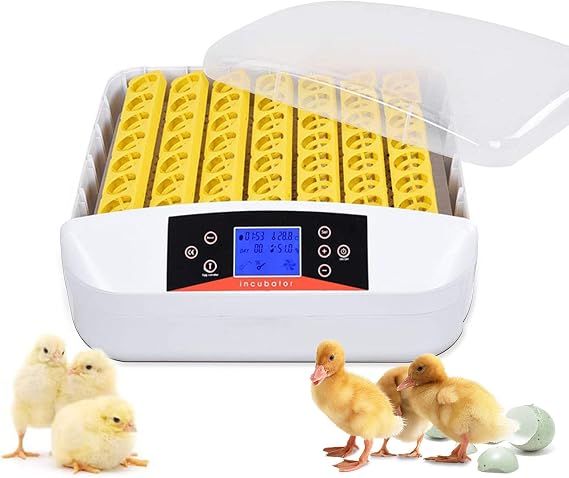 Egg Incubator ,56 Eggs Fully Automatic Egg Incubator with LED Lighting Automatic Turner and Intelligent Temperature Control, for Eggs/Duck Eggs/Bird Eggs/Goose Eggs Hatching