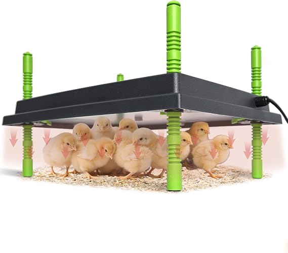 12" x 16" Chick Brooder Heater Plate for 40 Baby Chicks Ducks