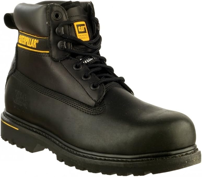 CAT Footwear Men's Holton SB Safety Boots