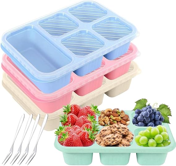 Snack Box Pack of 4 Snack Boxes with 5 Compartments With Stainless Steel Fork