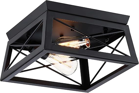 2-Light Black Square Ceiling Light Fixture - 2 Bulb Caged Farmhouse Ceiling Light for Bedroom Hallway Closet Kitchen Dinning Room 12 Inch, E26, Dimmable