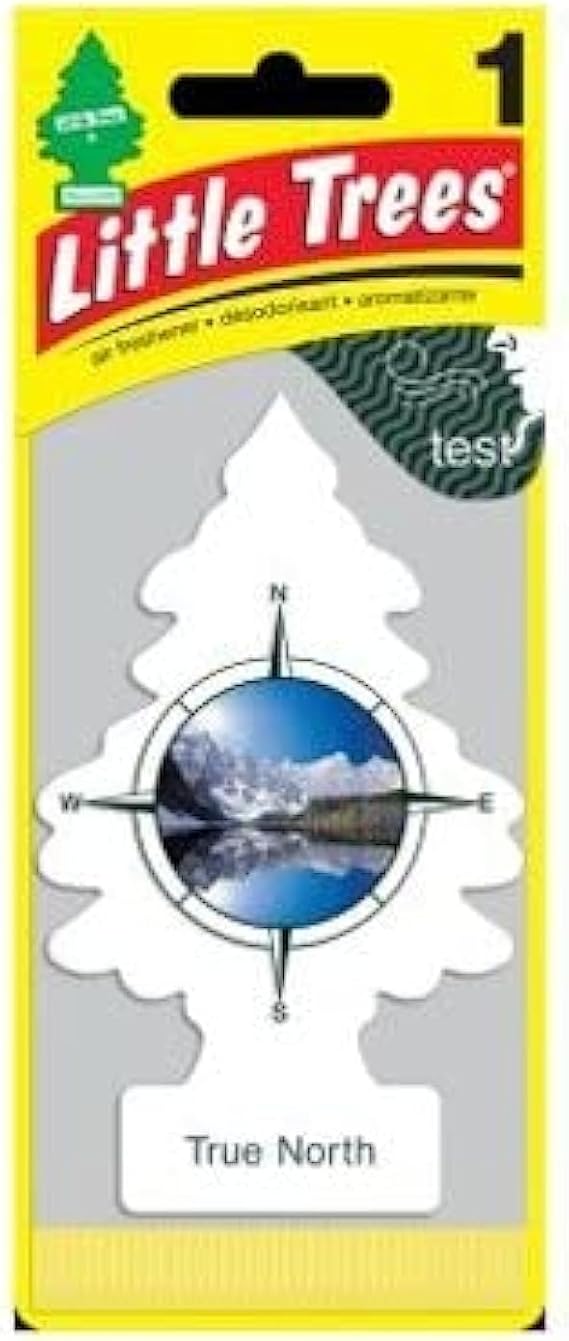 Little Trees True North Scent Air Freshener, 24 Pack